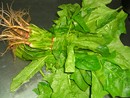 菠菜